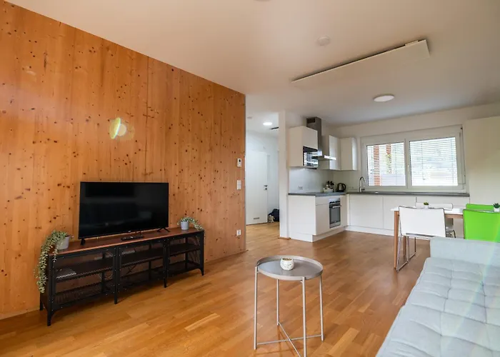 Shome Graz-ost I Self Check-in I Free Parking 4* Hart bei Graz